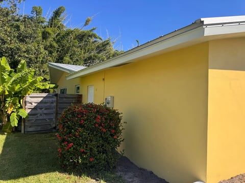After: Finished yellow side wall beneath white eaves beside flowering shrubs.