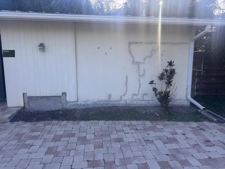 Before / preparation: Front entry paneling and adjacent wall with visible gray patches before painting was completed.