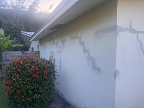 Before / preparation: Exterior wall beside flowering shrubs with visible gray patch lines beneath the eaves.